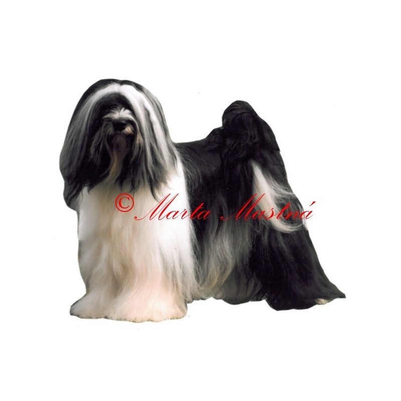 Samolepka tibetský teriér