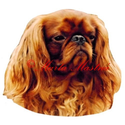 Samolepka King Charles španěl