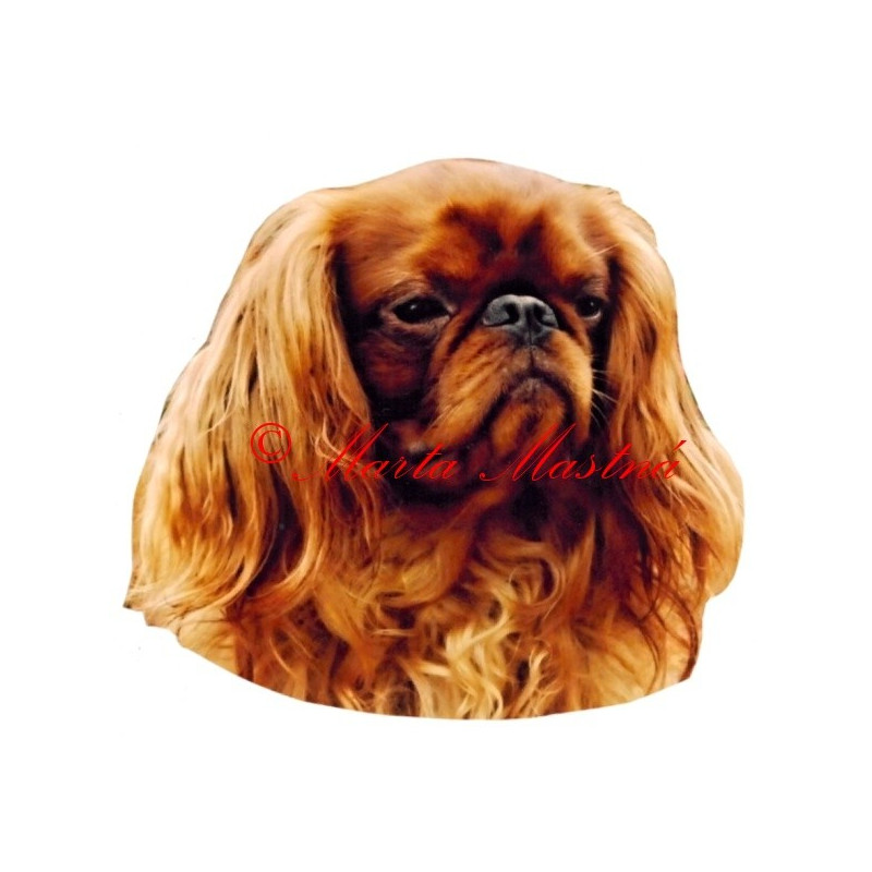 Samolepka King Charles španěl