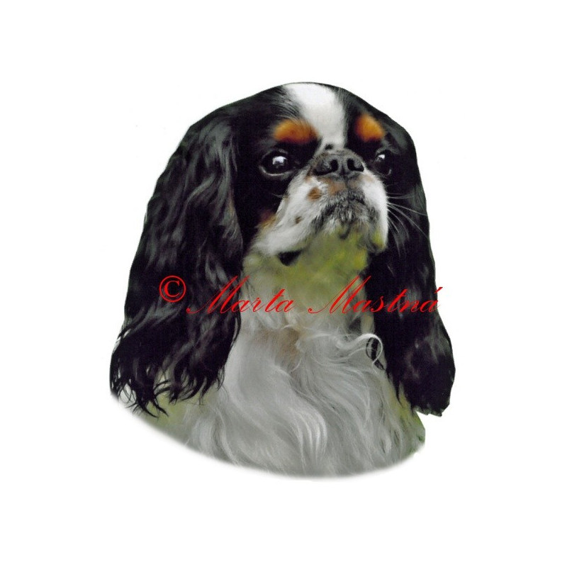 Samolepka King Charles španěl