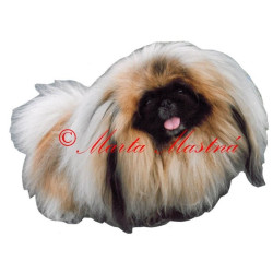 Samolepka pekinéz