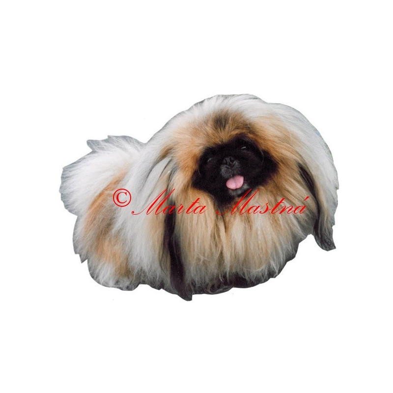 Samolepka pekinéz