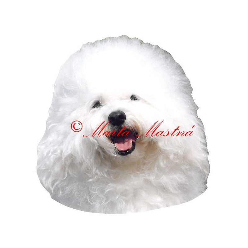 Samolepka boloňský psík