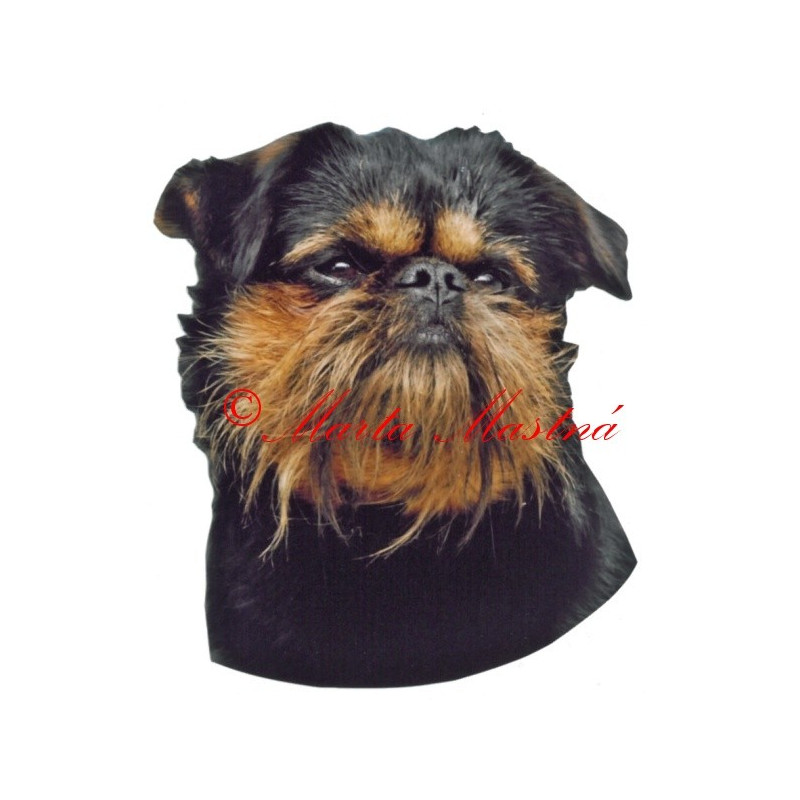 Samolepka grifonek belgický