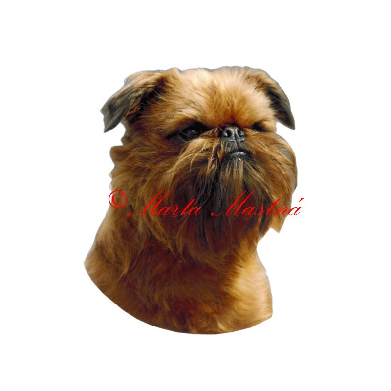 Samolepka grifonek bruselský