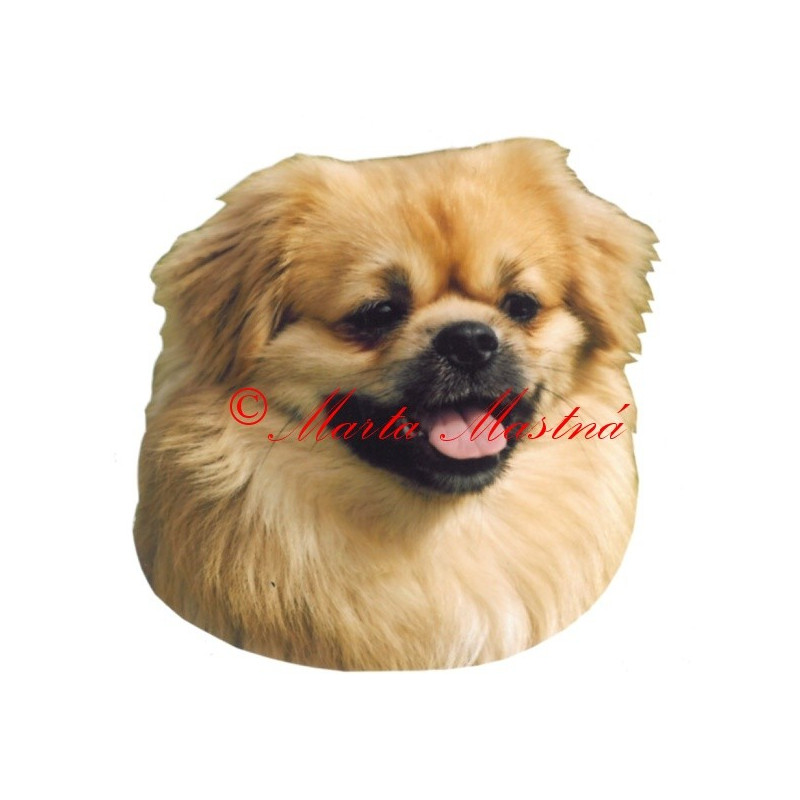 Samolepka tibetský španěl