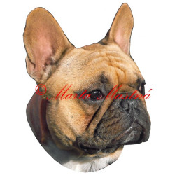 Samolepka francouzský buldoček