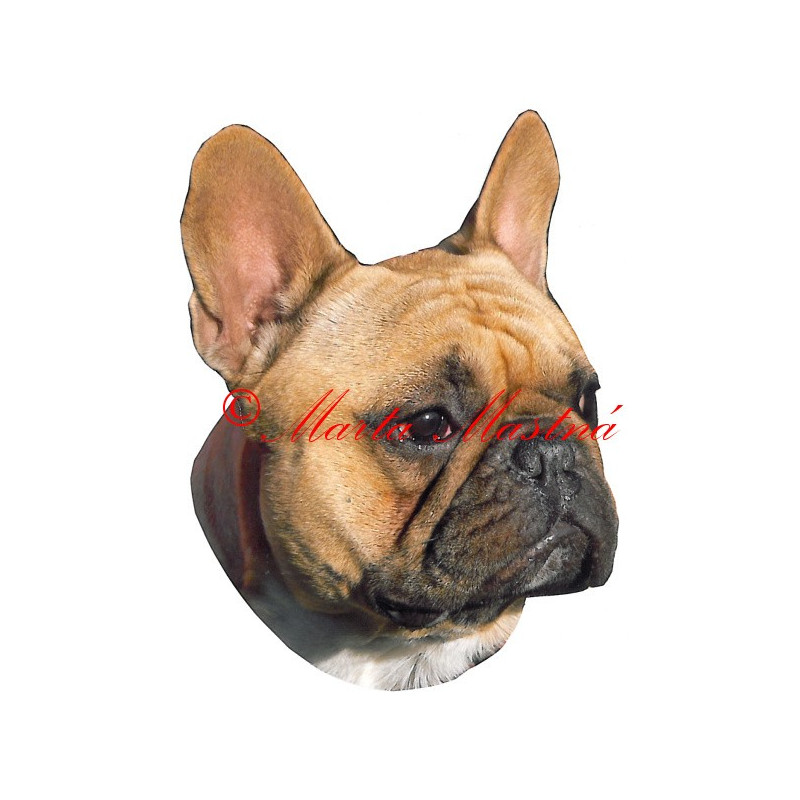 Samolepka francouzský buldoček