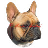 Samolepka francouzský buldoček