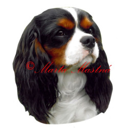 Samolepka kavalír King Charles španěl