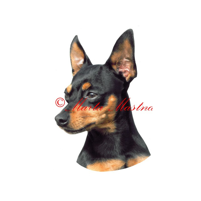 Samolepka pražský krysařík