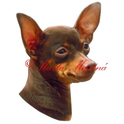 Samolepka pražský krysařík hnědý