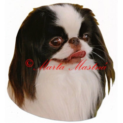 Samolepka japončík, japan chin