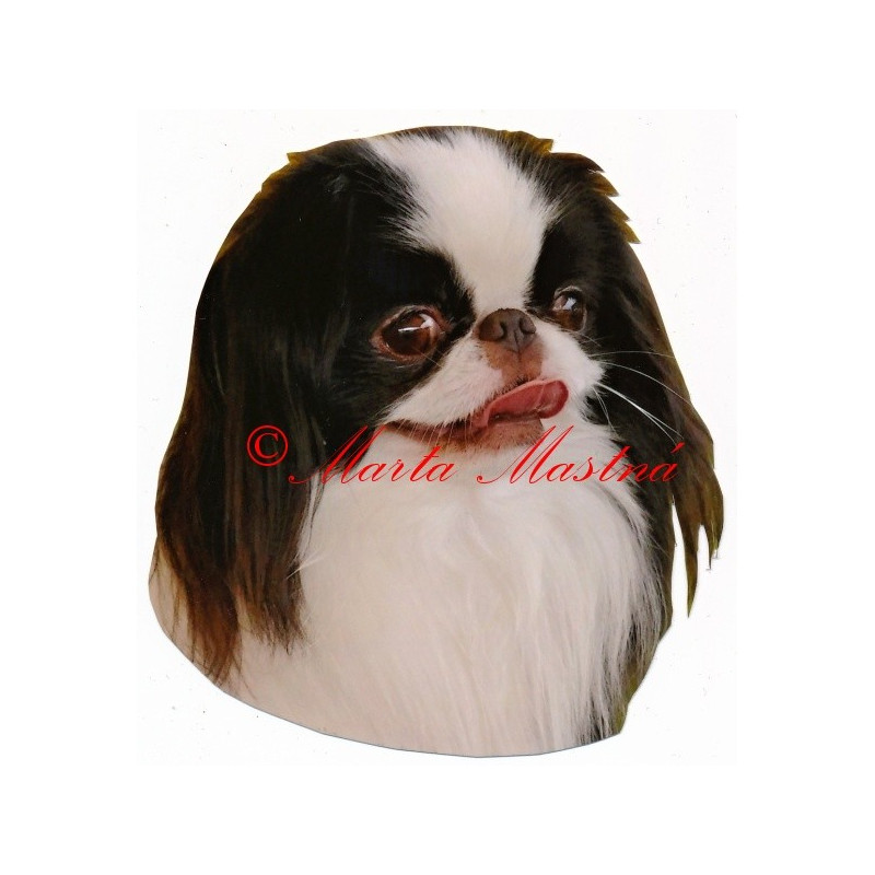 Samolepka japončík, japan chin