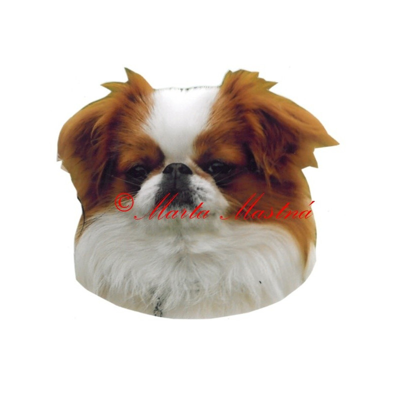 Samolepka japončík, japan chin