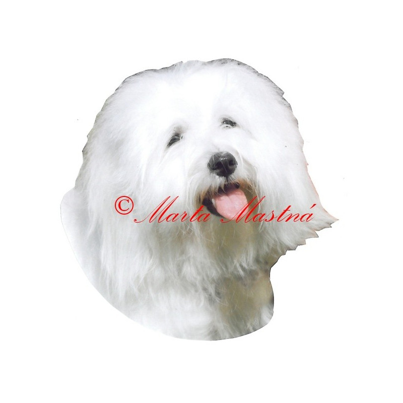Samolepka coton de Tulear