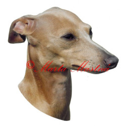 Samolepka italský chrtík