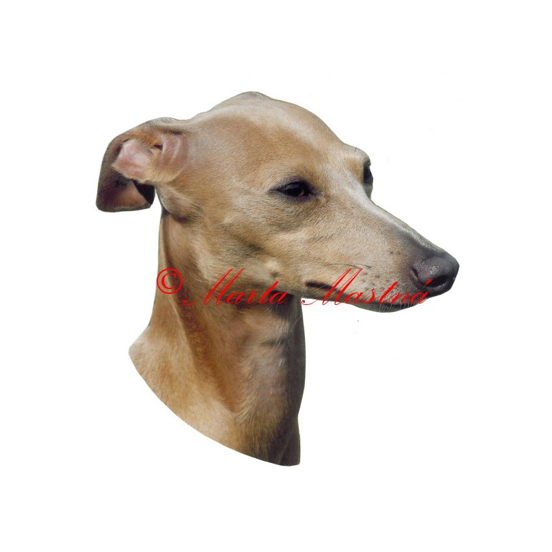 Samolepka italský chrtík