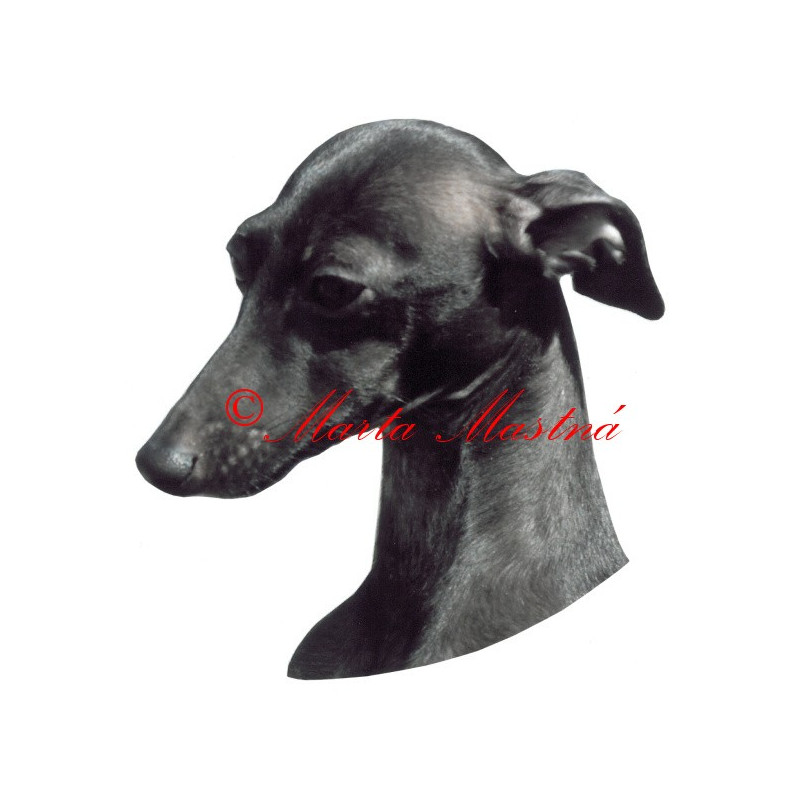 Samolepka italský chrtík