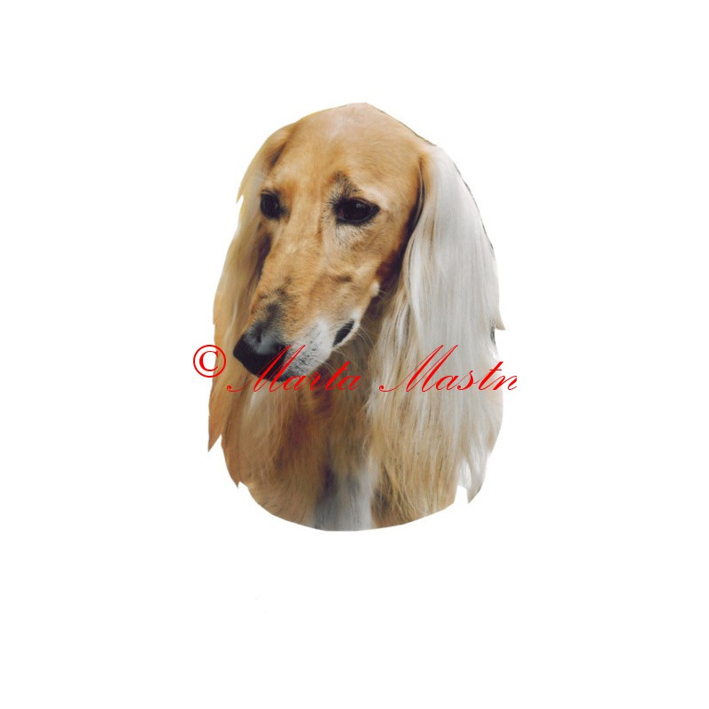 Samolepka perský chrt saluki