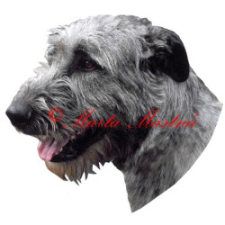 Samolepka irský vlkodav