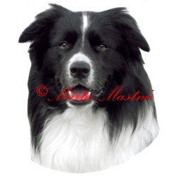 Samolepka border kolie