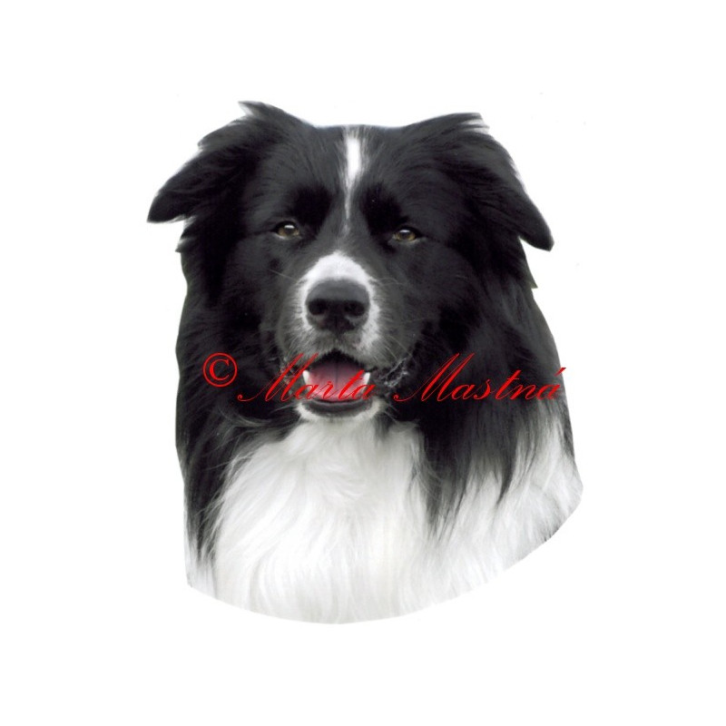 Samolepka border kolie