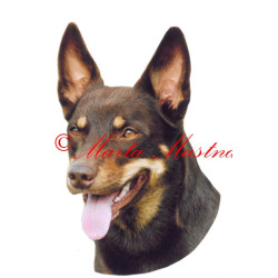 Samolepka australská kelpie