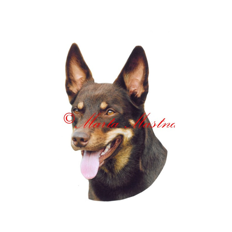 Samolepka australská kelpie