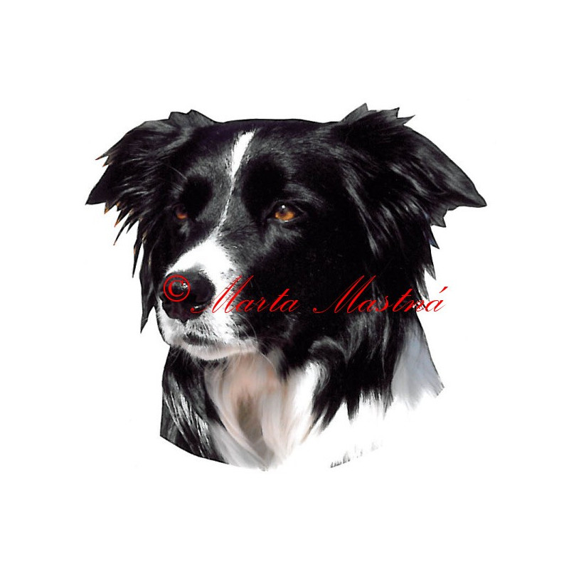 Samolepka border kolie