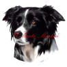 Samolepka border kolie