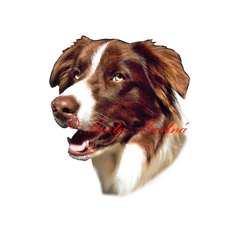 Samolepka border kolie
