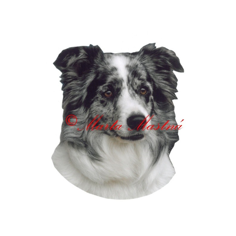 Samolepka border kolie