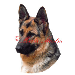 Samolepka německý ovčák