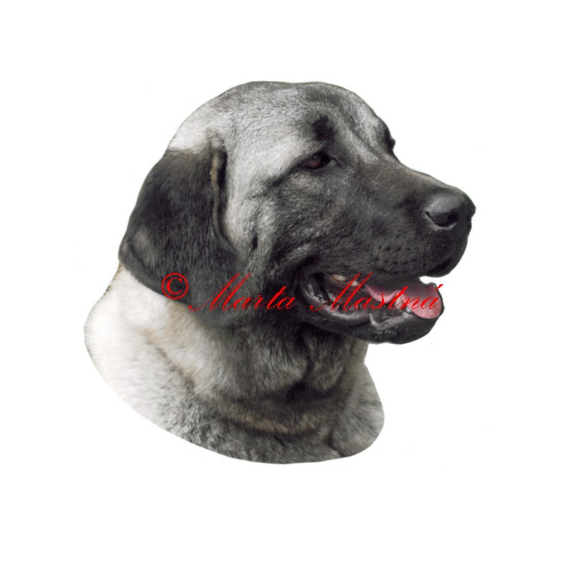 Samolepka anatolský pastevecký pes, kangal