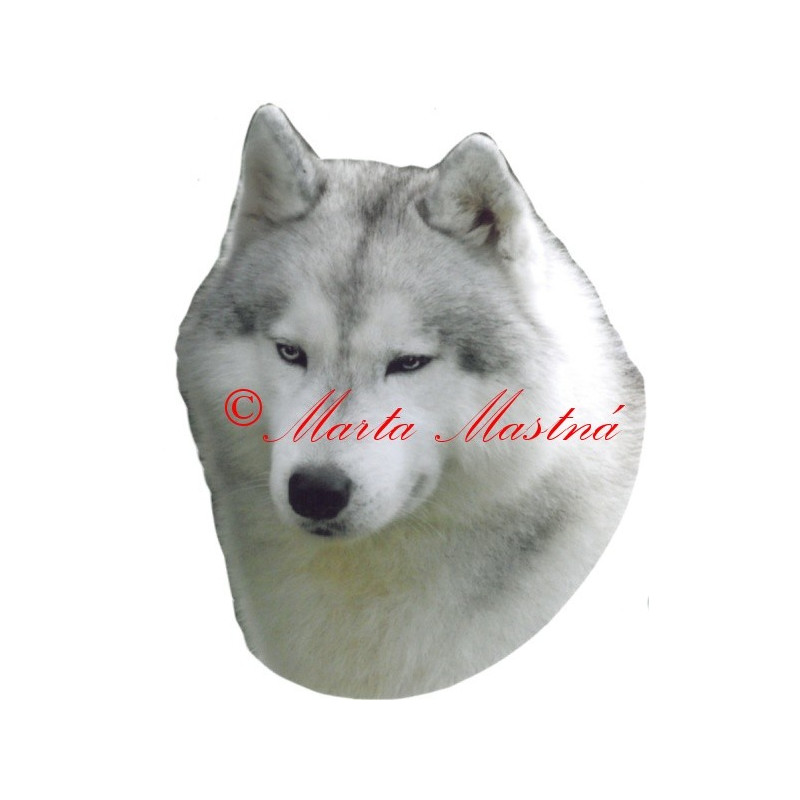 Samolepka sibiřský husky