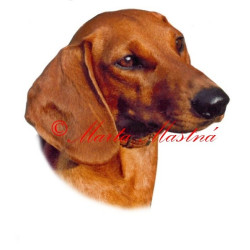 Samolepka jezevčík