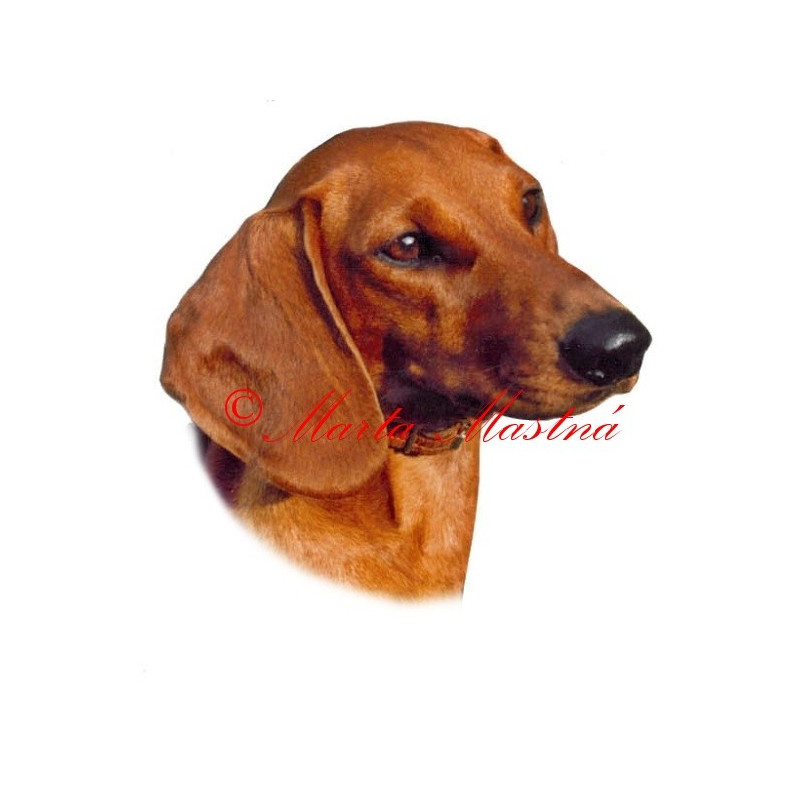 Samolepka jezevčík