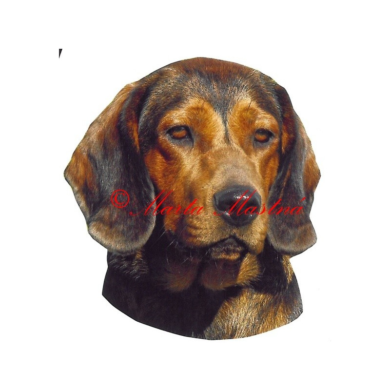 Samolepka alpský jezevčíkovitý brakýř, braka