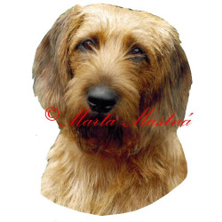 Samolepka štýrský brakýř