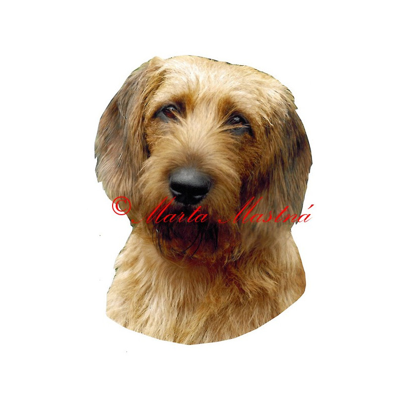 Samolepka štýrský brakýř