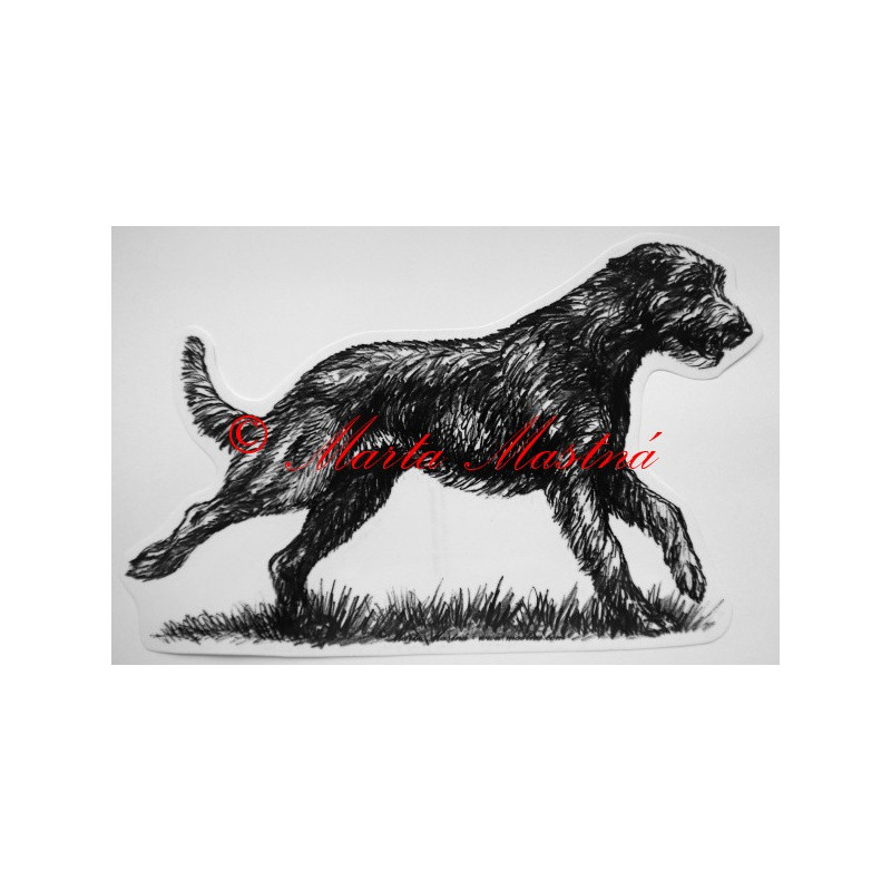 Irský vlkodav - wolfhound