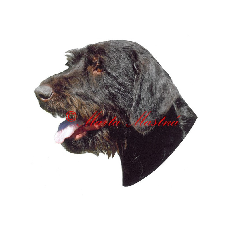 Samolepka český fousek, ohař