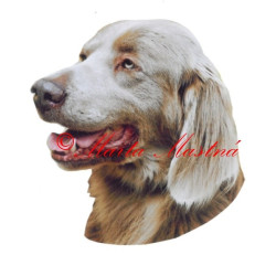 Samolepka výmarský ohař dlouhosrstý