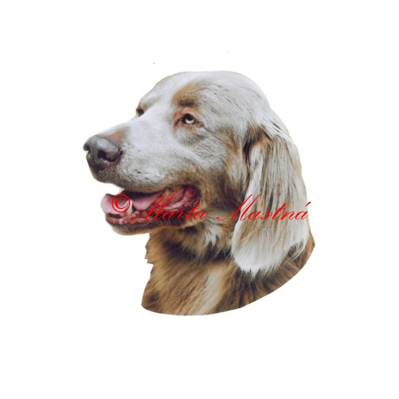 Samolepka výmarský ohař dlouhosrstý