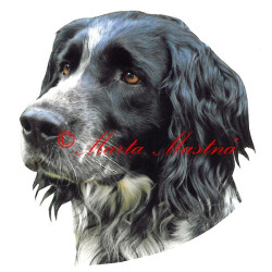 Samolepka velký münsterlandský ohař