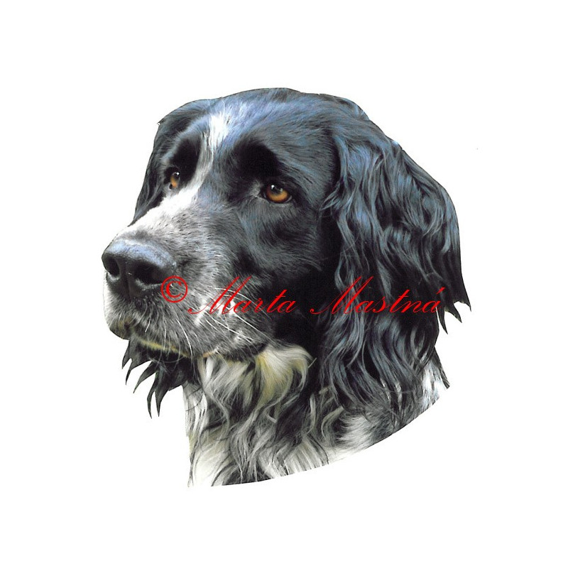 Samolepka velký münsterlandský ohař