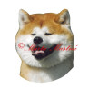 Samolepka akita inu