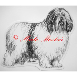 Polský nížinný ovčák