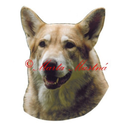 Samolepka saarlooský vlčák